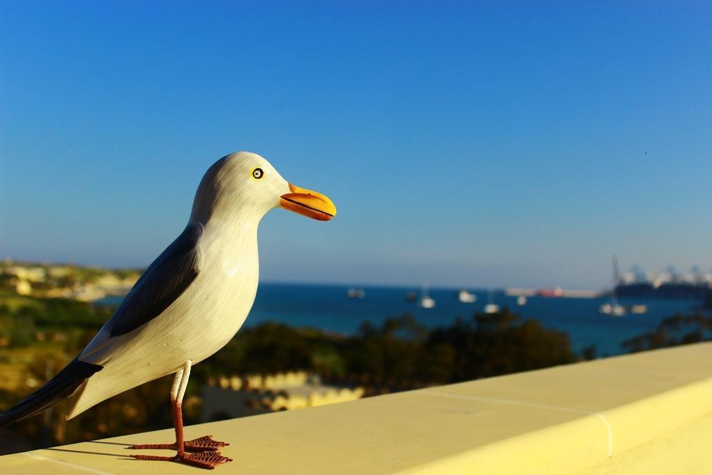Seagull Penthouse Marsaxlokkアパートメント エクステリア 写真